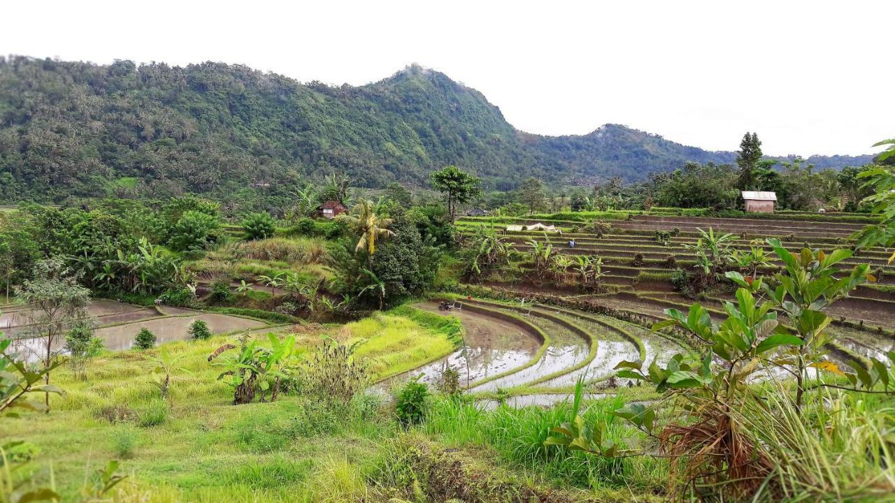 Astana Swaha Estate Sidemen (Bali) Exterior foto