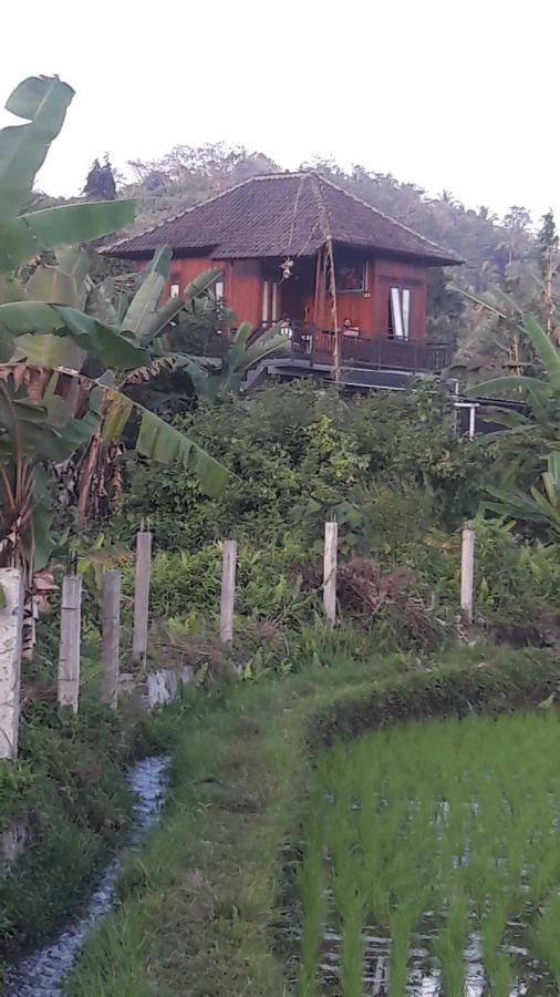 Astana Swaha Estate Sidemen (Bali) Exterior foto